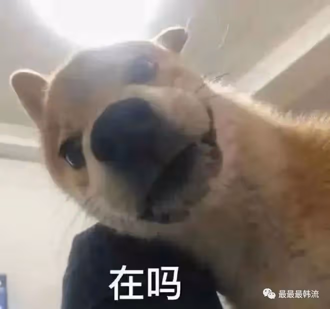 他到底塌房沒?