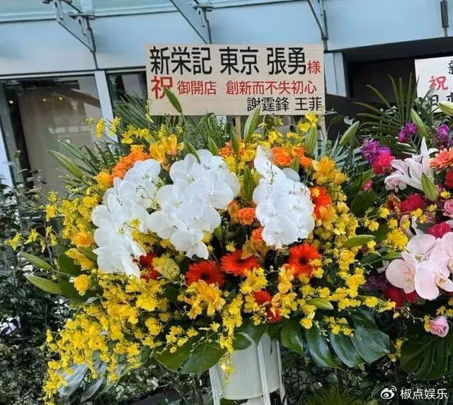 王菲謝霆鋒一年一度秀恩愛，李亞鵬間歇性直播哭窮，好慘烈的對比！