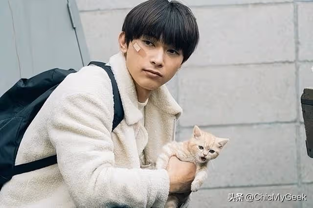 日娛10位新生代男神，各個號稱國寶級帥哥！