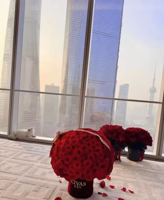 楊穎慶生顯落寞,楊冪張大大祝福缺席,與黃曉明現任對比令人唏噓