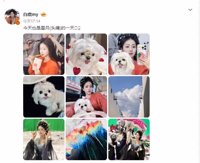 白鹿分享拍攝《白月梵星》日常，曬妝造，可愛狗狗.....治癒美好
