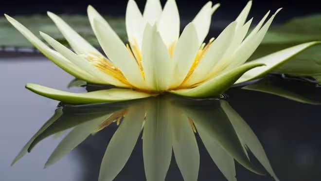 婆婆覺得我不好拿捏,逼著老公陪白蓮花前任去打胎,祝她們好運吧