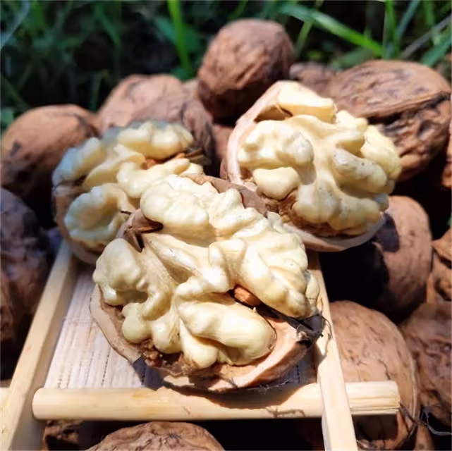 青皮核桃怎麼去皮?新學一招,又快又簡單,而且不會髒核桃