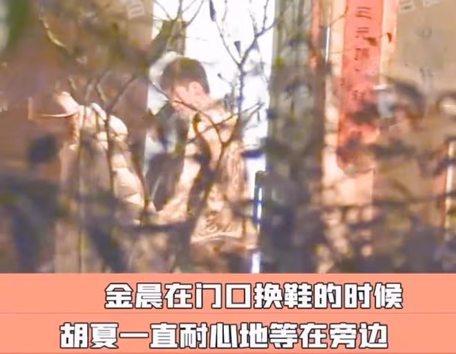 金晨拎禮物拜訪胡夏父母!細節看出胡夏太貼心,雙方粉絲卻吵翻天