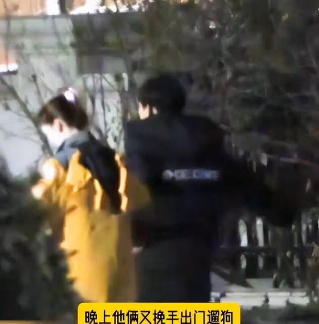 金晨拎禮物拜訪胡夏父母!細節看出胡夏太貼心,雙方粉絲卻吵翻天