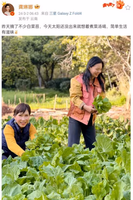 龔琳娜菜園摘菜曬照,一個詞竟讓網友集體懵圈:啥是白菜苔?