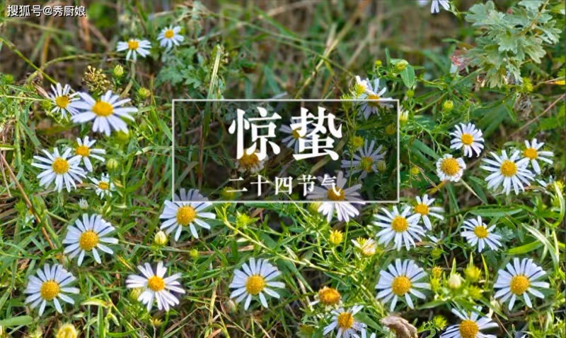 3月5日驚蟄,老人講「驚蟄見三鮮,一年病不沾」,這3鮮要懂吃!