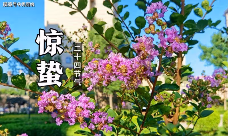 3月5日驚蟄,老人說「驚蟄吃3寶,不往醫院跑」,這「3寶」指啥?