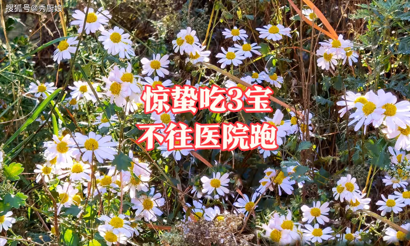 3月5日驚蟄,老人說「驚蟄吃3寶,不往醫院跑」,這「3寶」指啥?