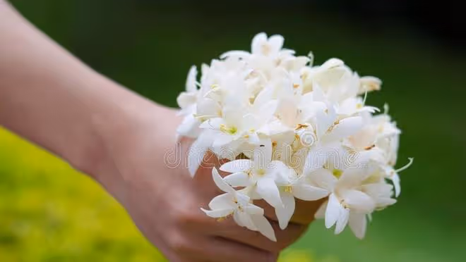 訂婚後,准婆婆突然要求我懷孕後才能領證,我直接退還聘禮分手了