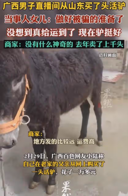 笑噴!男子從山東網購活驢,幾天後收到貨,商家:已賣出1000多頭