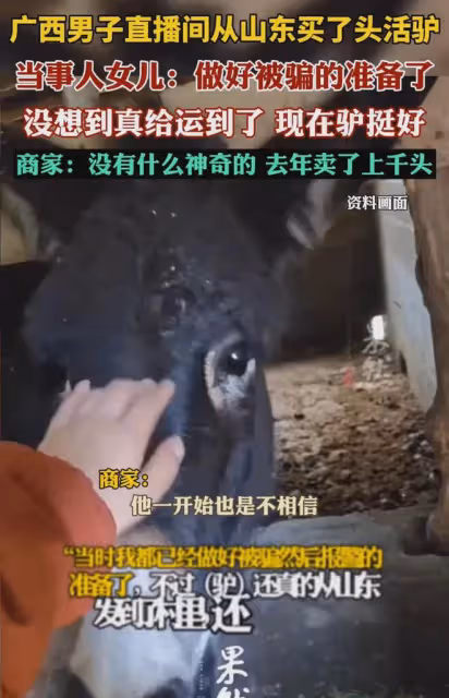 笑噴!男子從山東網購活驢,幾天後收到貨,商家:已賣出1000多頭