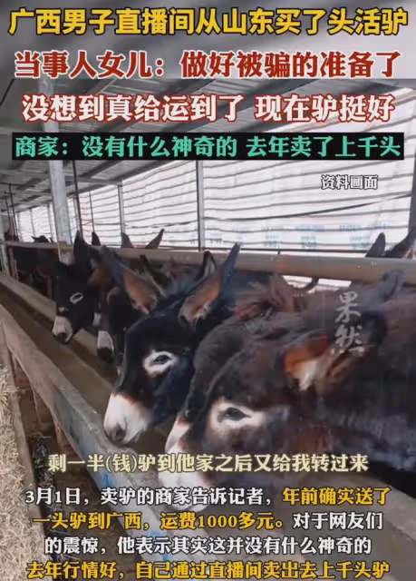 笑噴!男子從山東網購活驢,幾天後收到貨,商家:已賣出1000多頭