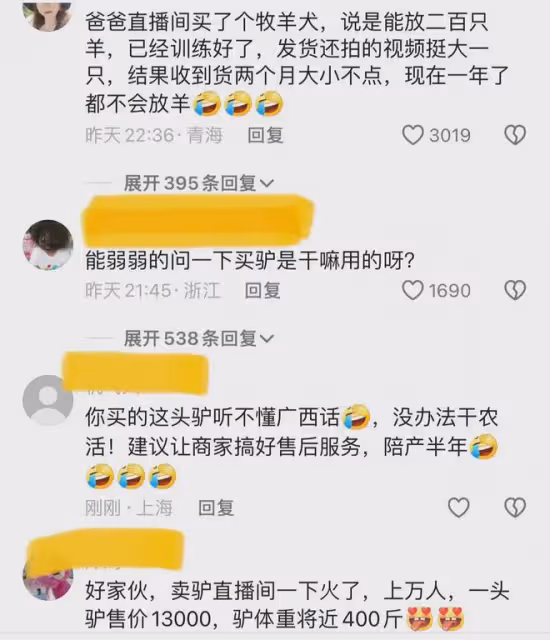 笑噴!男子從山東網購活驢,幾天後收到貨,商家:已賣出1000多頭
