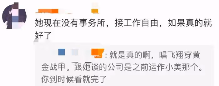 前田敦子退出《浪姐5》，網友拍手叫好，直言芒果台不該請日本人