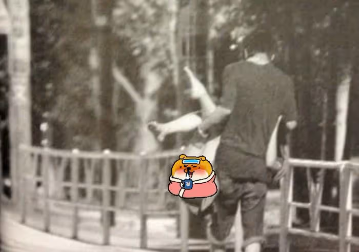 前田敦子退出《浪姐5》，網友拍手叫好，直言芒果台不該請日本人