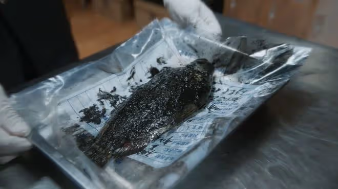 《江河日上》高能來襲：王宬送岩魚的是誰？不是劉耕野，而是王武