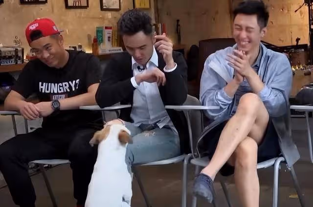 《周處除三害》票房挺高,打了多少資方的臉?阮經天這次賭對了