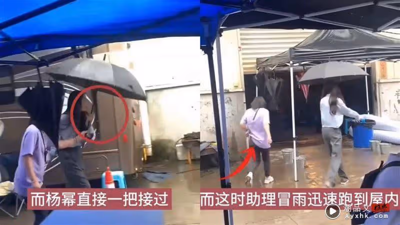 楊冪讓助理淋雨被罵!「曬秀場照秒改進」 化身貼心女霸總
