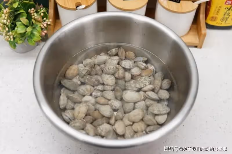 清洗花蛤時,最忌用鹽和油,海邊老漁民教你一招,花蛤瘋狂吐泥沙