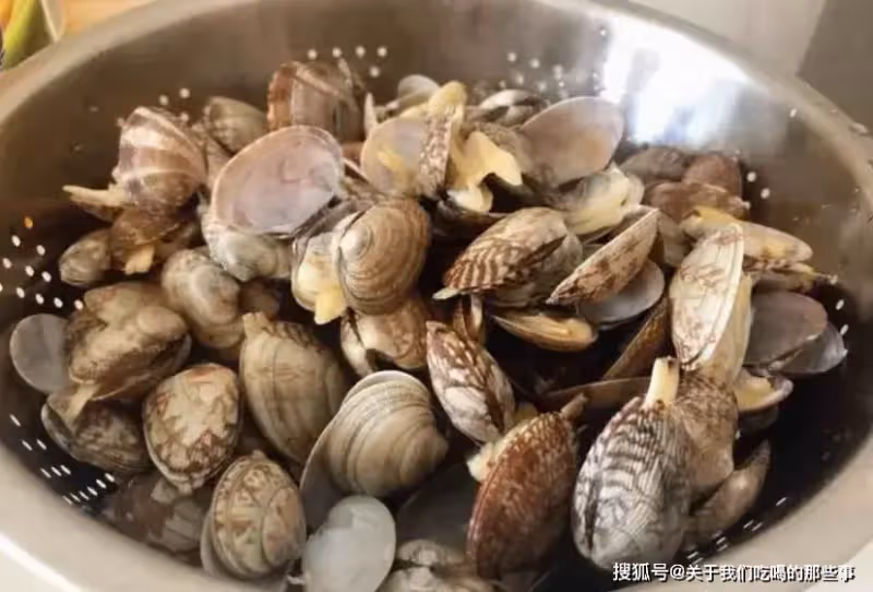 清洗花蛤時,最忌用鹽和油,海邊老漁民教你一招,花蛤瘋狂吐泥沙