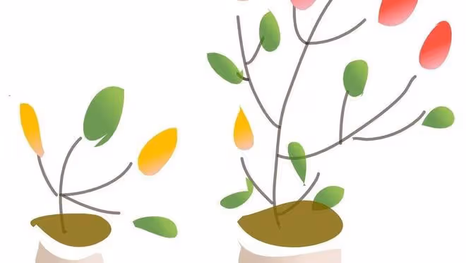 老公每個月給我6萬的零花錢,我卻還是離婚了,怪我太矯情了嗎