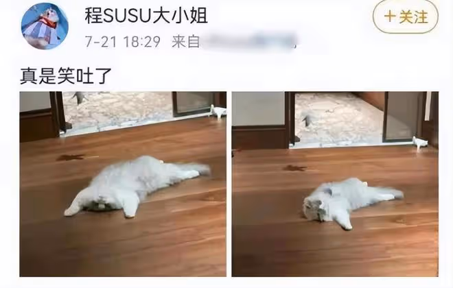 程瀟片場偷懶,被郭敬明當眾大罵,本人多次被曝不敬業脾氣差!