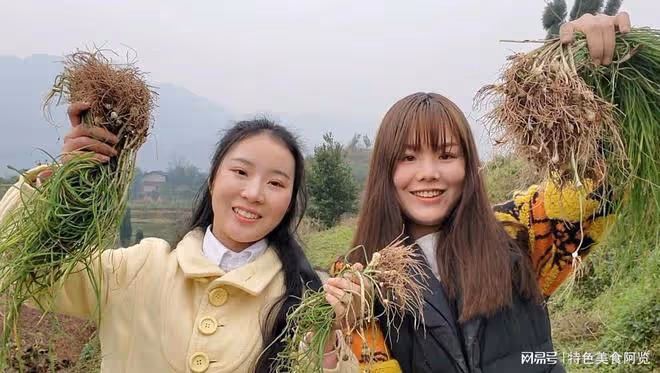 全國最好吃的7種野菜？50歲以上的人都挖過，你吃過幾種？