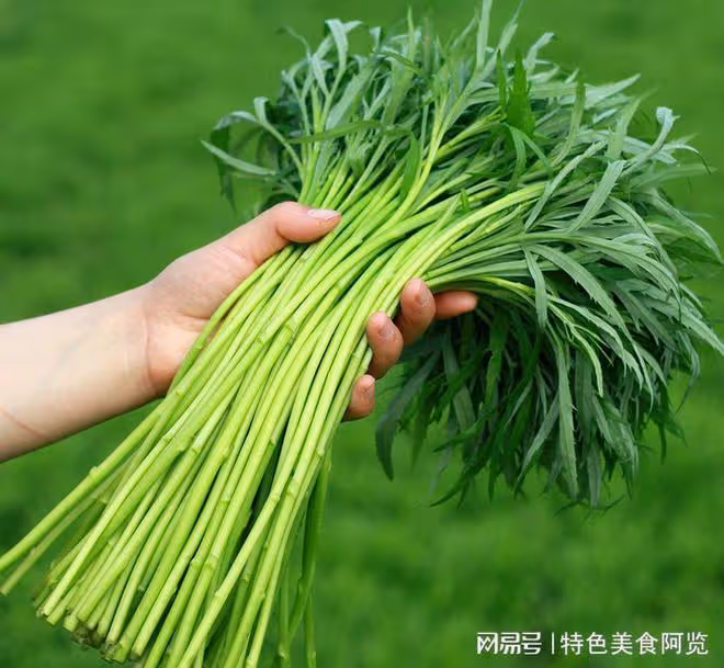 全國最好吃的7種野菜？50歲以上的人都挖過，你吃過幾種？