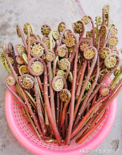 全國最好吃的7種野菜？50歲以上的人都挖過，你吃過幾種？