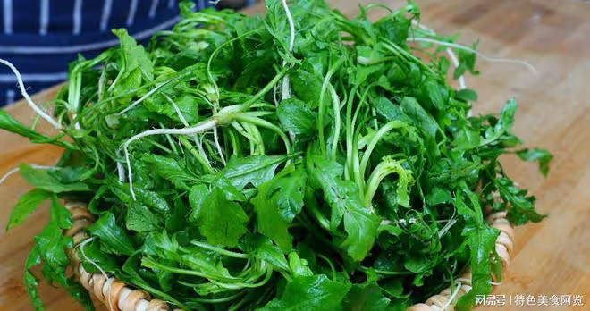 全國最好吃的7種野菜？50歲以上的人都挖過，你吃過幾種？