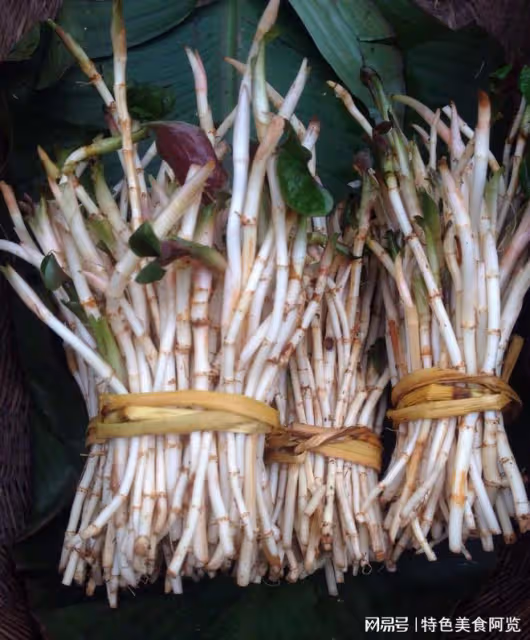 全國最好吃的7種野菜？50歲以上的人都挖過，你吃過幾種？