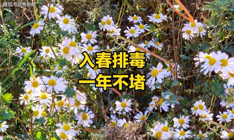 「入春排毒，一年不堵」，多吃3種排毒食材，養肝排毒，精力充沛