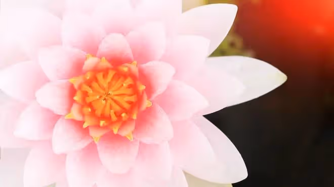 我幫小姑子出了兩次主意，卻引來婆婆各種算計，再也沒有第三次了