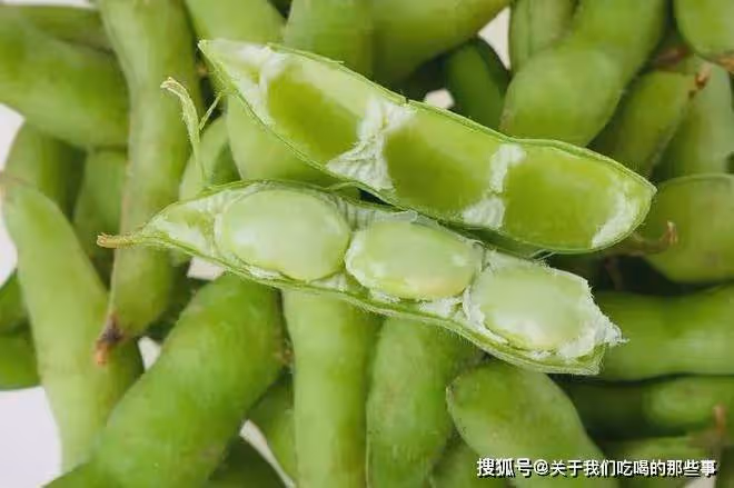 保存毛豆別直接冷凍,教你一個妙招,放一年照樣新鮮,隨吃隨取