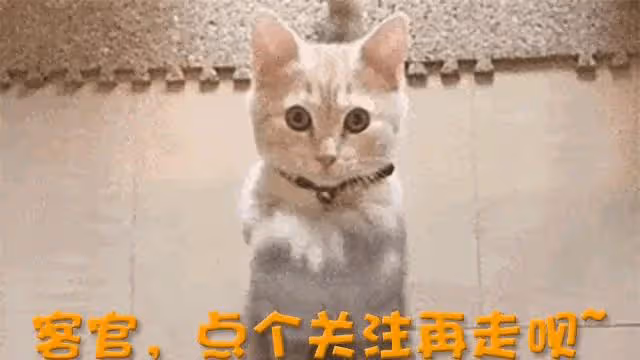 鄧婕的一張照片，曝光張國立「人設」：多年婚姻，寵妻是假的