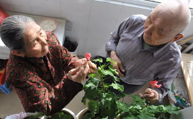 人老了,躺在病床上才終於明白,晚年真正靠得住的還是這3樣東西