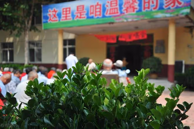 有種養老方式叫「有償式子女養老」,老人高興直言:比養老院幸福