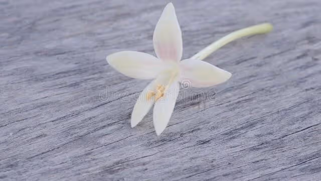 婆家拆遷拿到了最多的拆遷款,本該躺贏的我,卻被無良公婆害慘了