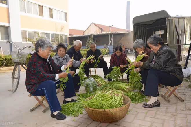 「抱團養老」到底靠譜嗎?63歲阿姨:聽著很美好,但實則弊端百出