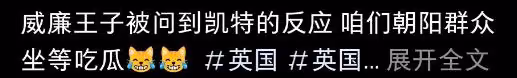 凱特王妃術後首露面！面頰圓潤鼻子變塌惹質疑，威廉王子反應心虛