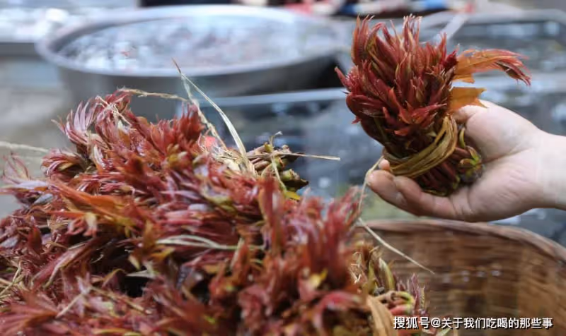 香椿這樣保存,放一年都是綠油油的,鮮香脆嫩不變味,隨吃隨取
