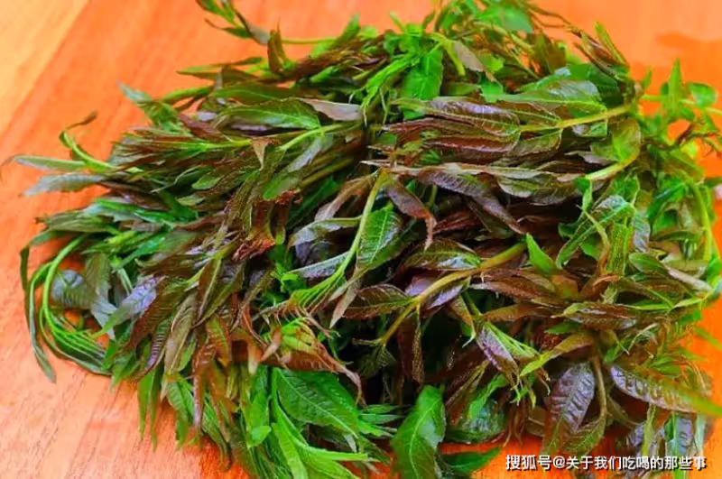香椿這樣保存,放一年都是綠油油的,鮮香脆嫩不變味,隨吃隨取