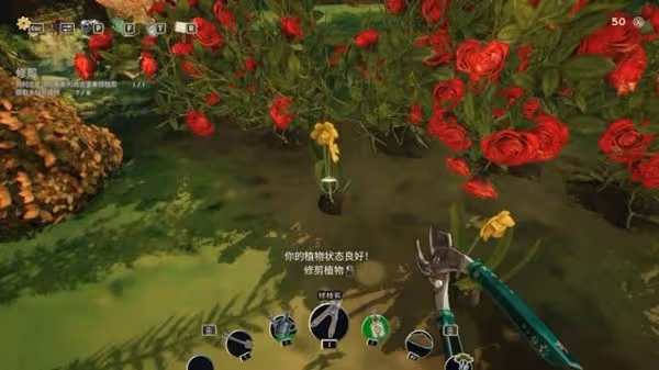 《花園生涯：模擬佛系生活》設定及玩法解析