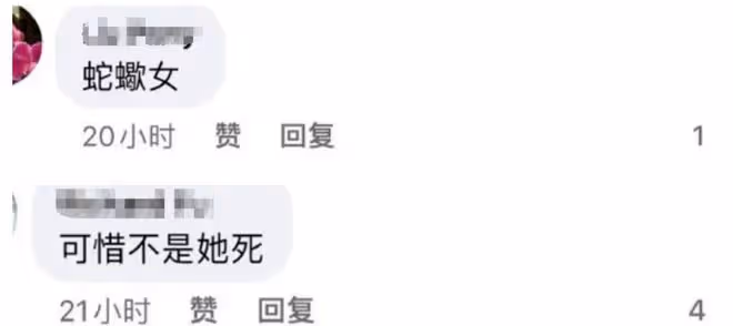 大S被台灣網友罵蛇蠍女，被疑哺乳期才不染髮，懷孕時間線被扒