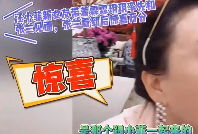 大S被台灣網友罵蛇蠍女，被疑哺乳期才不染髮，懷孕時間線被扒