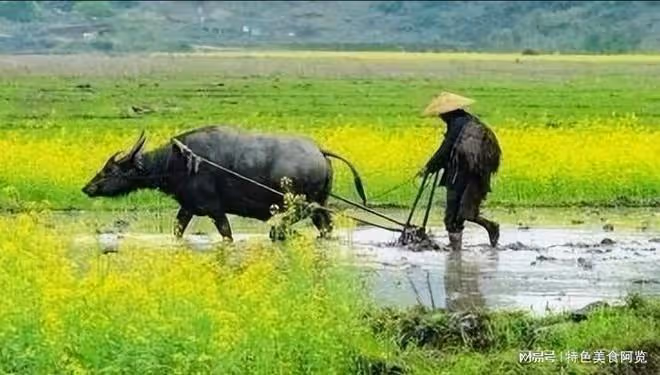 你不知道的6條驚蟄農諺，原來還有這麼多的說道！