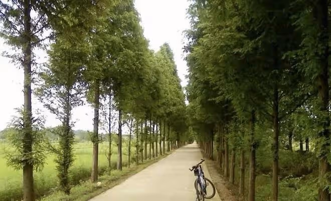 過年期間，兒媳不讓兒子和孫子來我家，只因為年前發生了一件事情