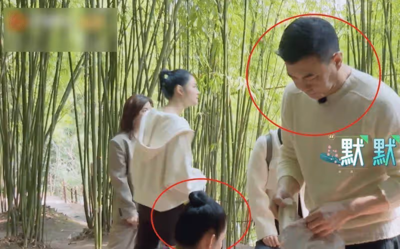 《妻旅5》秦海璐太會撒嬌了,王新軍為其換鞋,周圍有一群檸檬精