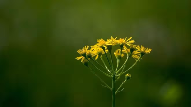 我對婆婆越好,她的態度就越糟,直到聽見她和鄰居說的話,我悟了